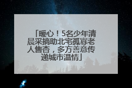 暖心！5名少年清晨采摘助北宅孤寡老人售杏，多方善意传递城市温情