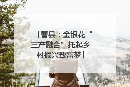 曹县：金银花“三产融合”托起乡村振兴致富梦