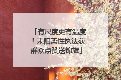 有尺度更有温度！耒阳柔性执法获群众点赞送锦旗