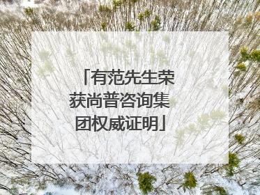 有范先生荣获尚普咨询集团权威证明