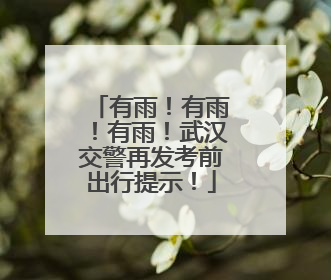 有雨！有雨！有雨！武汉交警再发考前出行提示！