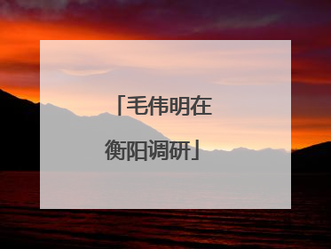 毛伟明在衡阳调研