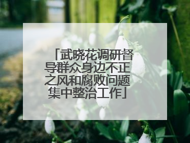 武晓花调研督导群众身边不正之风和腐败问题集中整治工作