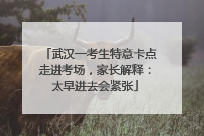 武汉一考生特意卡点走进考场，家长解释：太早进去会紧张