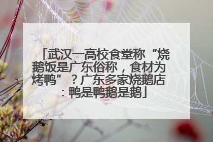 武汉一高校食堂称“烧鹅饭是广东俗称，食材为烤鸭”？广东多家烧鹅店：鸭是鸭鹅是鹅