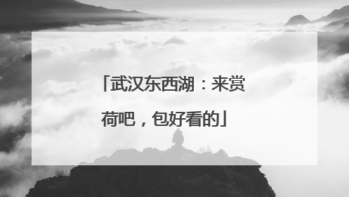 武汉东西湖：来赏荷吧，包好看的