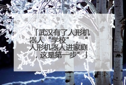 武汉有了人形机器人“学校”，“人形机器人进家庭，这是第一步”