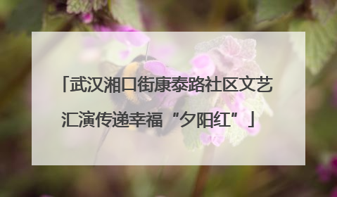 武汉湘口街康泰路社区文艺汇演传递幸福“夕阳红”