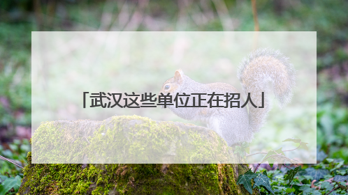 武汉这些单位正在招人
