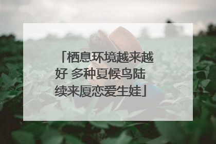栖息环境越来越好 多种夏候鸟陆续来厦恋爱生娃