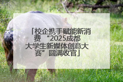 校企携手赋能新消费 “2025成都大学生新媒体创意大赛”圆满收官