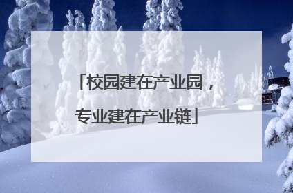 校园建在产业园，专业建在产业链