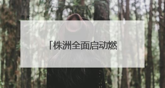 株洲全面启动燃气表首检工作