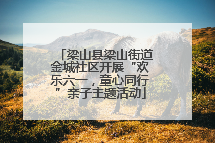 梁山县梁山街道金城社区开展“欢乐六一，童心同行”亲子主题活动