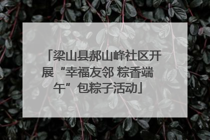 梁山县郝山峰社区开展“幸福友邻 粽香端午”包粽子活动