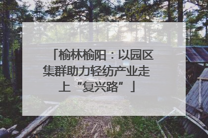 榆林榆阳：以园区集群助力轻纺产业走上“复兴路”