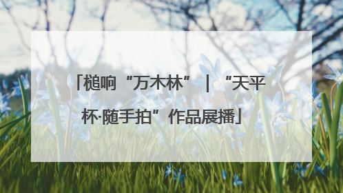 槌响“万木林”｜“天平杯·随手拍”作品展播