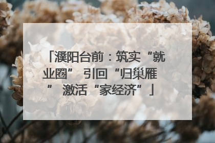濮阳台前：筑实“就业圈” 引回“归巢雁” 激活“家经济”
