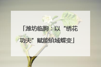 潍坊临朐：以“绣花功夫”赋能镇域蝶变