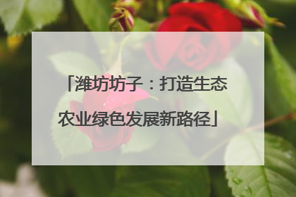 潍坊坊子：打造生态农业绿色发展新路径
