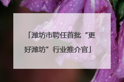 潍坊市聘任首批“更好潍坊”行业推介官