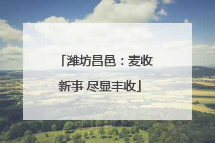 潍坊昌邑：麦收新事 尽显丰收