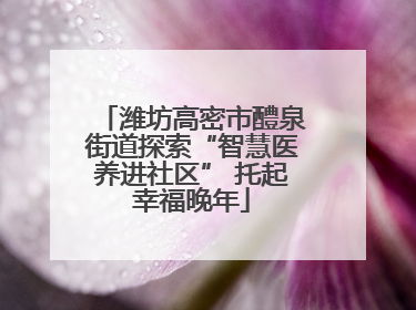 潍坊高密市醴泉街道探索“智慧医养进社区” 托起幸福晚年