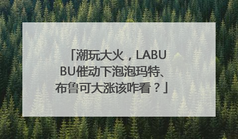 潮玩大火，LABUBU催动下泡泡玛特、布鲁可大涨该咋看？