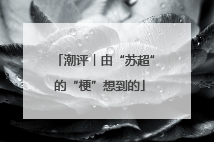 潮评丨由“苏超”的“梗”想到的