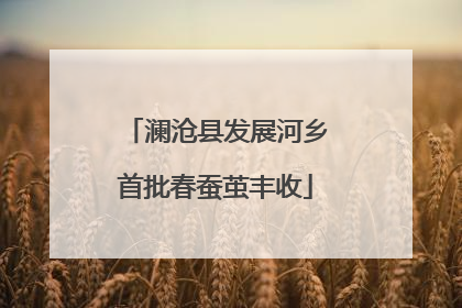 澜沧县发展河乡首批春蚕茧丰收