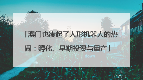 澳门也凑起了人形机器人的热闹：孵化、早期投资与量产
