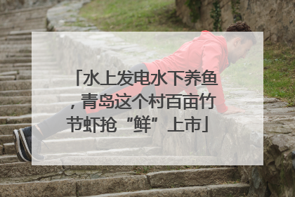 水上发电水下养鱼，青岛这个村百亩竹节虾抢“鲜”上市