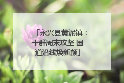 永兴县黄泥镇：干群周末攻坚 国道沿线焕新颜