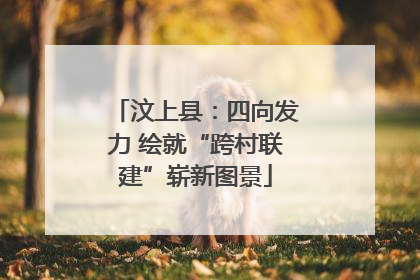 汶上县：四向发力 绘就“跨村联建”崭新图景