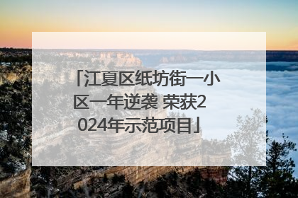 江夏区纸坊街一小区一年逆袭 荣获2024年示范项目