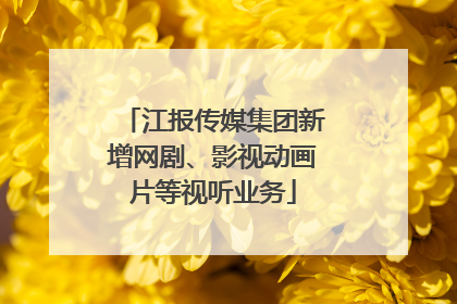 江报传媒集团新增网剧、影视动画片等视听业务
