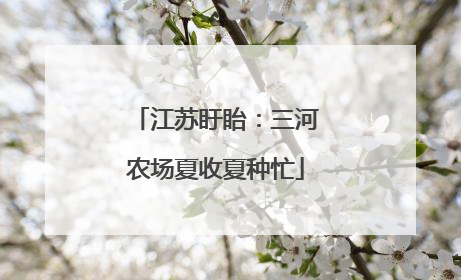 江苏盱眙：三河农场夏收夏种忙