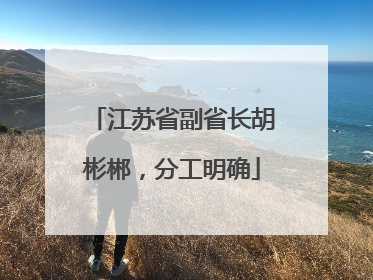 江苏省副省长胡彬郴，分工明确