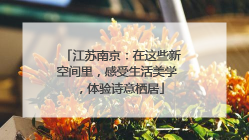 江苏南京：在这些新空间里，感受生活美学，体验诗意栖居
