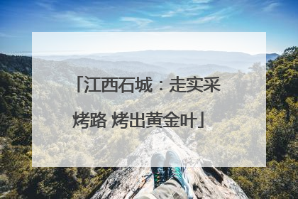江西石城：走实采烤路 烤出黄金叶