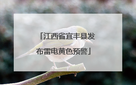 江西省宜丰县发布雷电黄色预警
