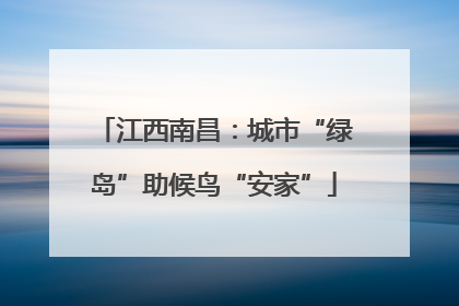 江西南昌：城市“绿岛”助候鸟“安家”