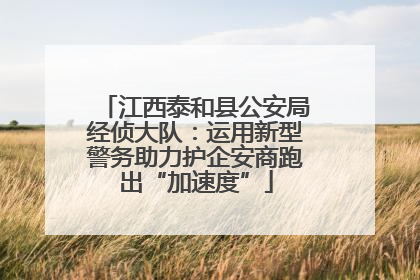 江西泰和县公安局经侦大队：运用新型警务助力护企安商跑出“加速度”
