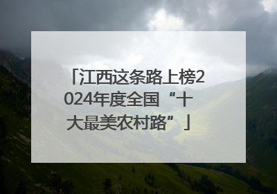 江西这条路上榜2024年度全国“十大最美农村路”