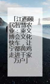 江西颐民智慧农业：乘文博会文化快车，让宁都黄鸡走进千家万户