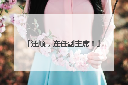 汪顺，连任副主席！