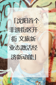 沈阳首个非遗街区开街 文旅新业态激活经济新动能