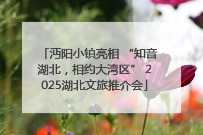 沔阳小镇亮相 “知音湖北，相约大湾区” 2025湖北文旅推介会