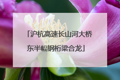 沪杭高速长山河大桥东半幅钢桁梁合龙