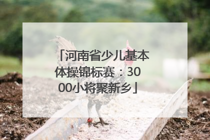 河南省少儿基本体操锦标赛：3000小将聚新乡